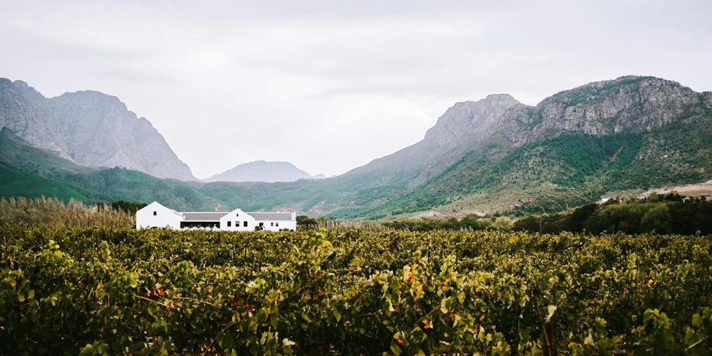 hemel-en-aarde-wines-1600x800 hemel-en-aarde-wines-1600x800