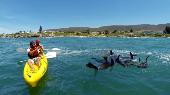 walkerbay-adventures_3-570x319 walkerbay-adventures_3-570x319